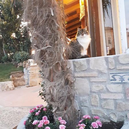 Perla Bed & Breakfast Gussago Екстериор снимка