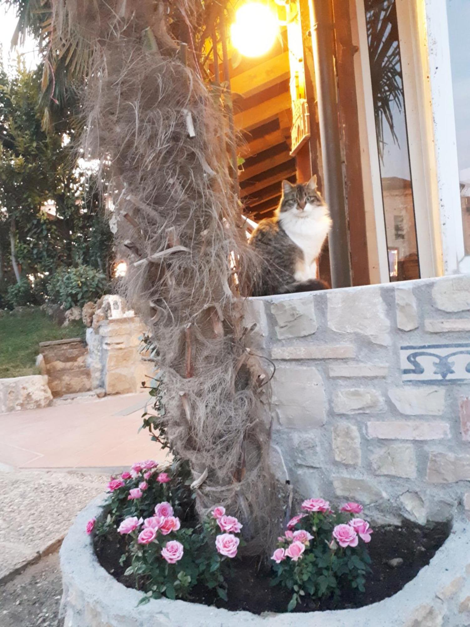 Perla Bed & Breakfast Gussago Екстериор снимка